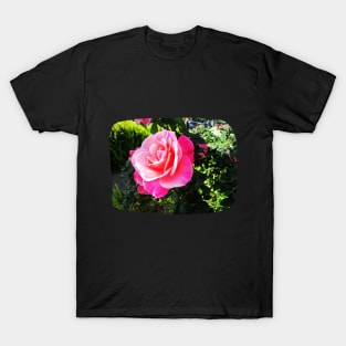 Beautiful pink rose photography T-Shirt